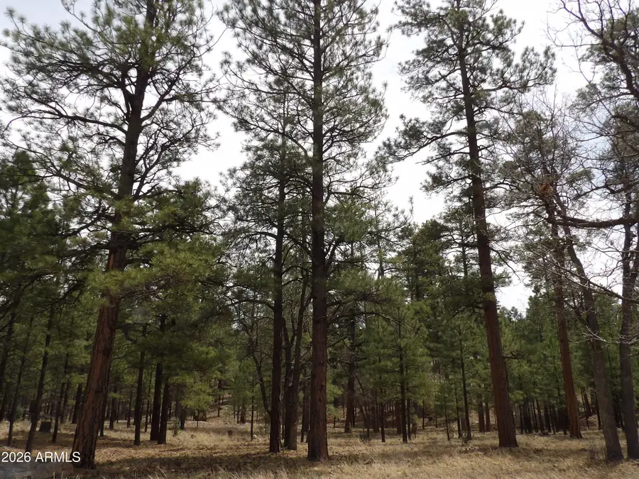 2011 Pine Canyon Drive #173, Happy Jack, AZ 86024 - #3