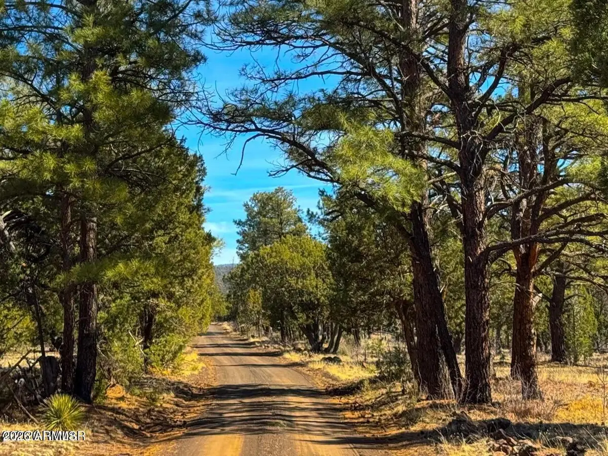 11 Co Rd N3262 5 Acres --, Vernon, AZ 85940 - #1