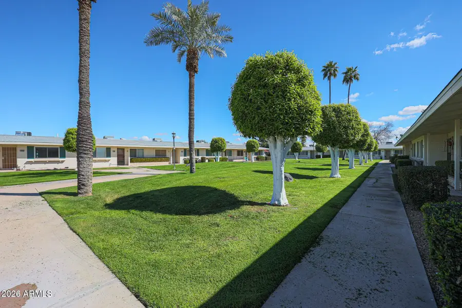 9667 N 111th Avenue, Sun City, AZ 85351 - #2