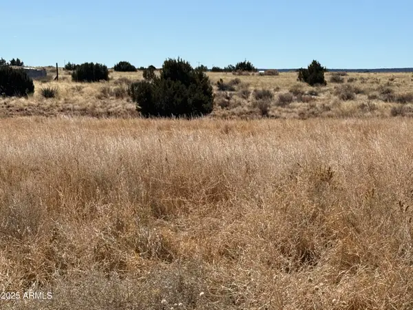 13 N Mountain View Street N #13, St Johns, AZ 85936