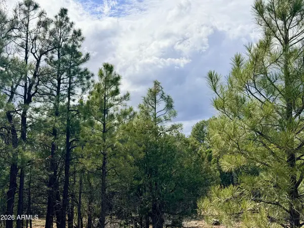 2588 Spoonbill Drive #7, Happy Jack, AZ 86024