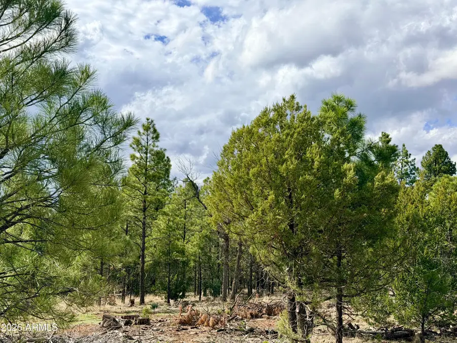 2588 Spoonbill Drive #7, Happy Jack, AZ 86024 - #2