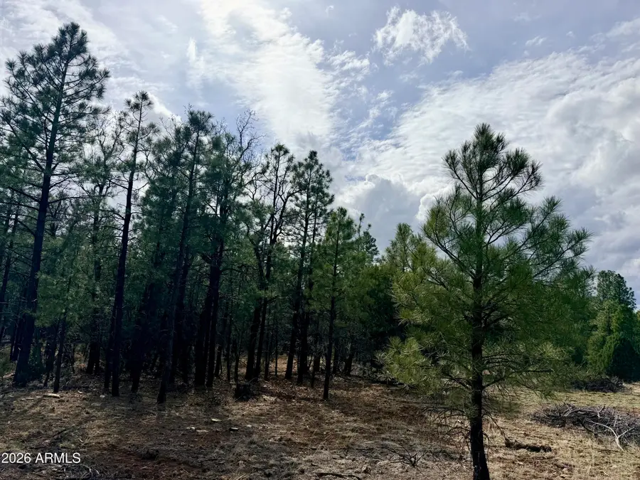 2588 Spoonbill Drive #7, Happy Jack, AZ 86024 - #3