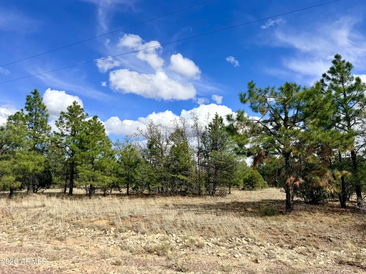 7112 Horizon Circle #101, Happy Jack, AZ 86024 - #1