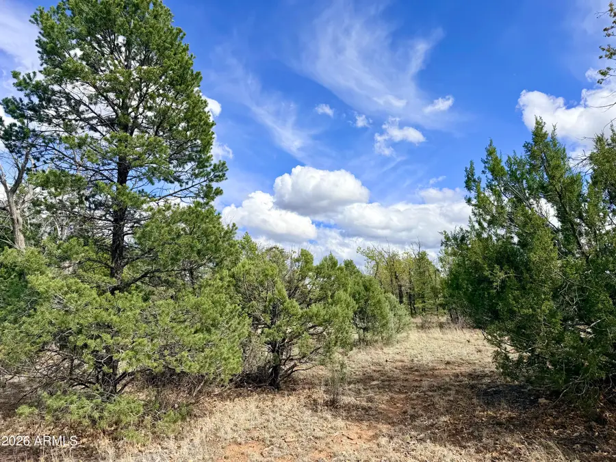 7112 Horizon Circle #101, Happy Jack, AZ 86024 - #3