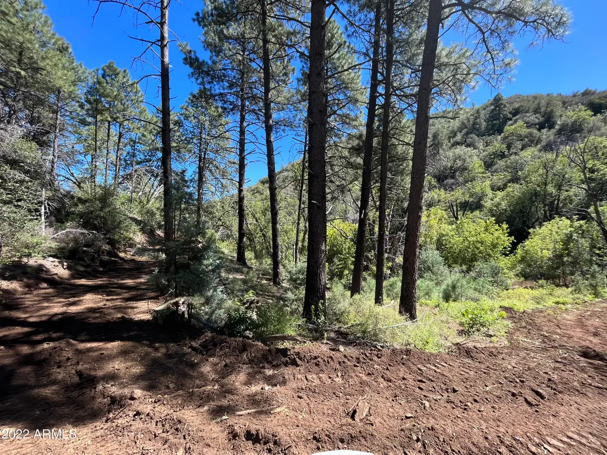 00 S Alexandra Road, Crown King, AZ 86343 - #1