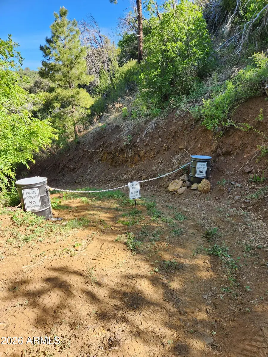 00 S Alexandra Road, Crown King, AZ 86343 - #2