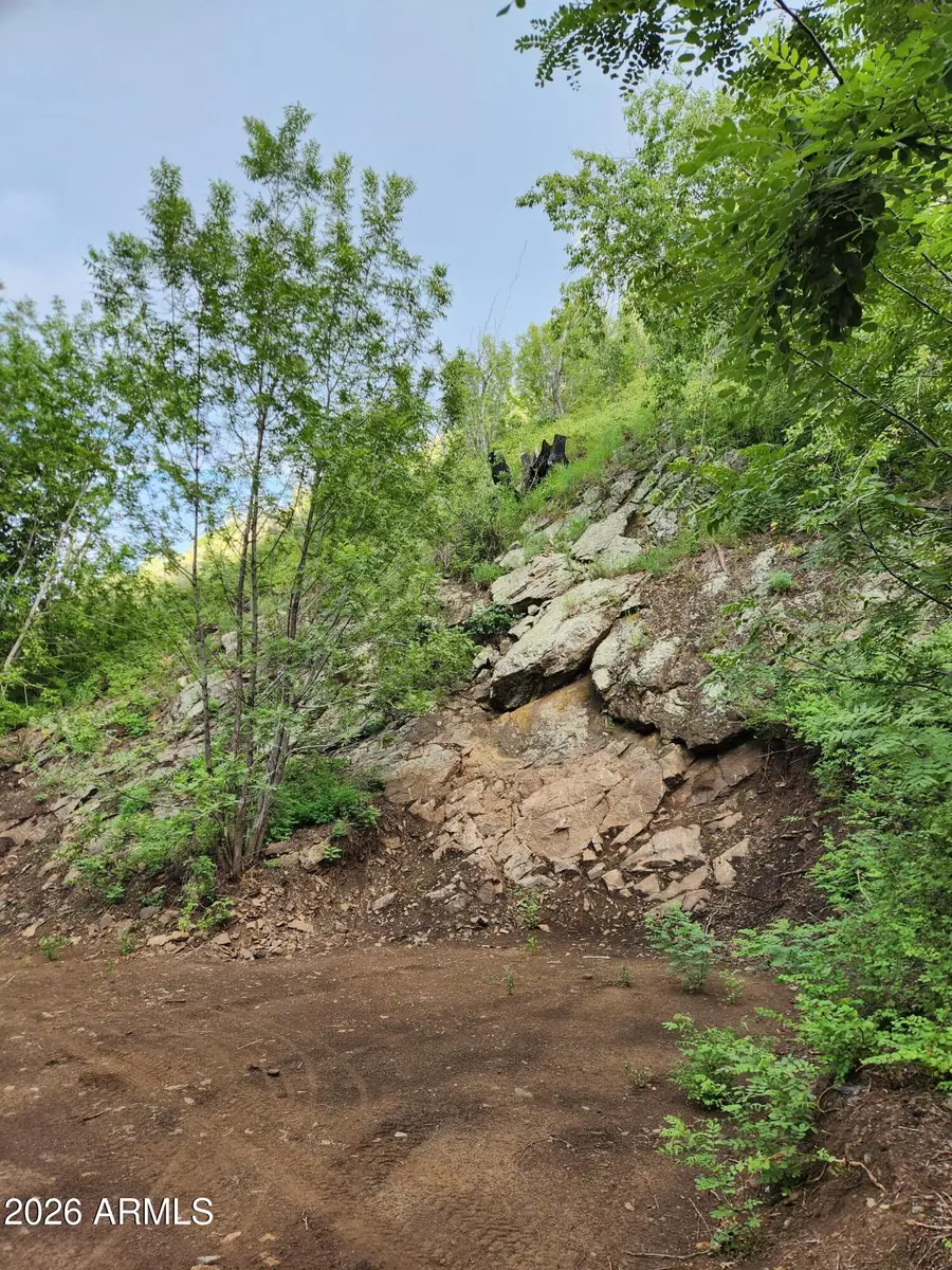 00 S Alexandra Road, Crown King, AZ 86343 - #3