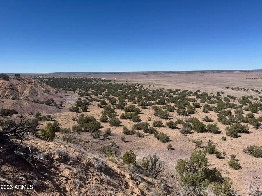 Lot 96 Bonito Valley Ranch -- #96, Saint Johns, AZ 85936 - #3