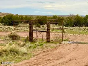 TBD Co Rd N6659 36.25 Acres --, Saint Johns, AZ 85936 - #2