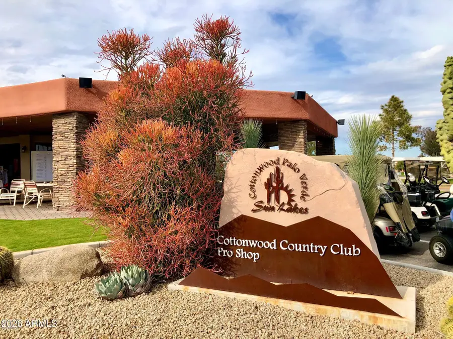 26207 S Glenburn Drive, Sun Lakes, AZ 85248 - #3