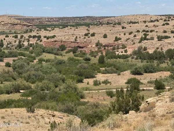 Lot 95 River Springs Ranch -- #095, St Johns, AZ 85936