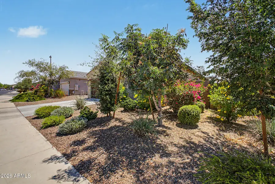 1979 N 212th Lane, Buckeye, AZ 85396 - #2