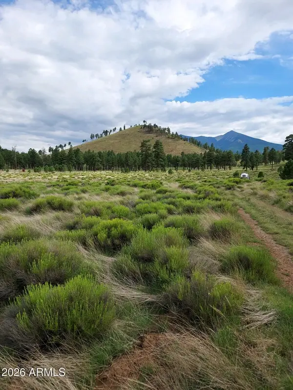 21 Fun Valley Road #21, Flagstaff, AZ 86001