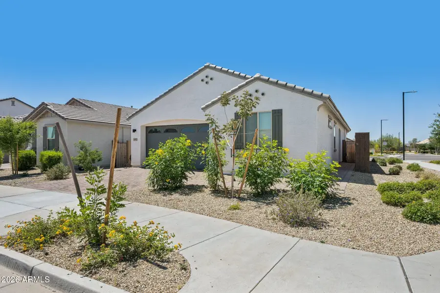 25572 N 142nd Lane, Surprise, AZ 85387 - #3