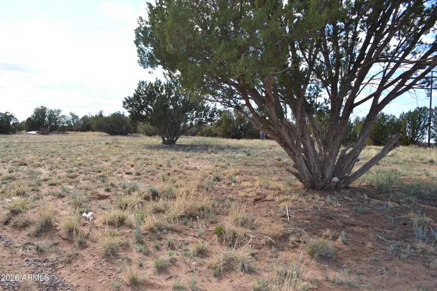 6555 Hunter Road #47, Snowflake, AZ 85937 - #3