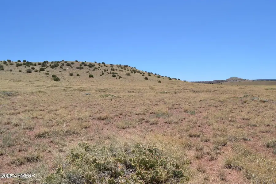 Lot 863 Acr N8497 -- #863, Concho, AZ 85924 - #2