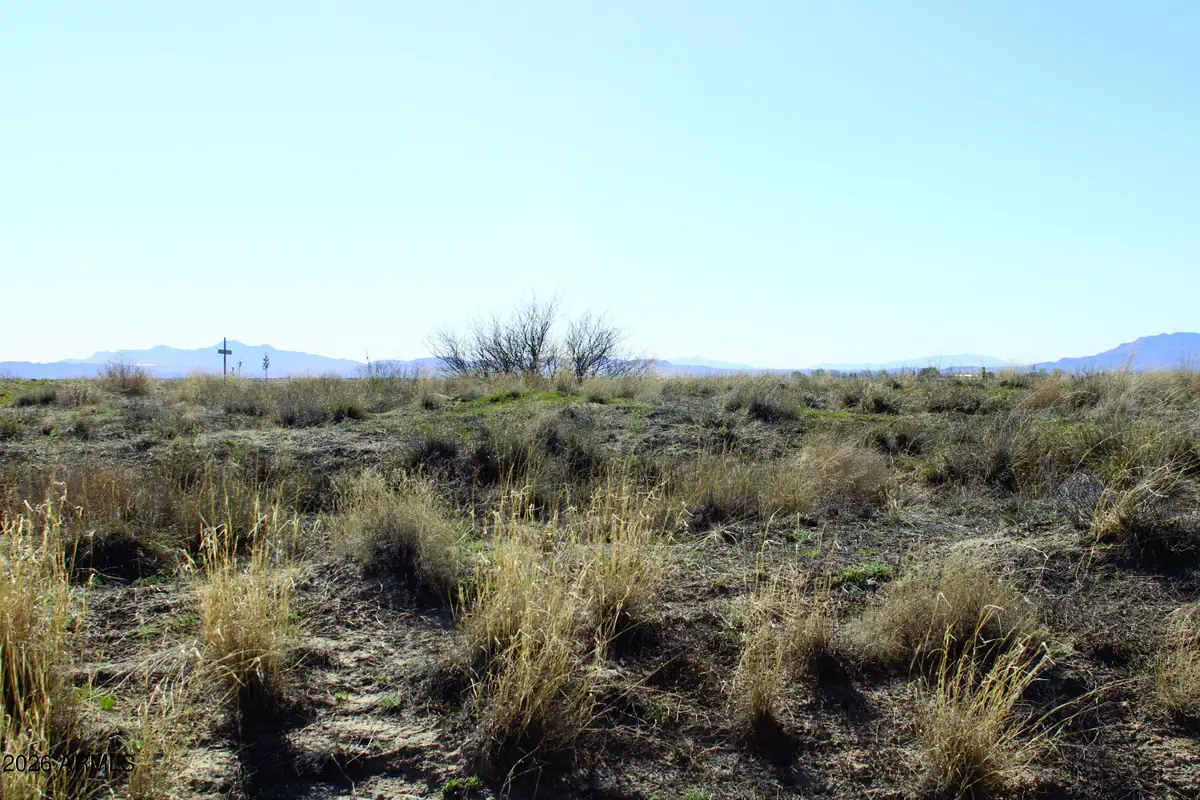 .55 Acres Hwy 186 -- #1219, Willcox, AZ 85643 - #1