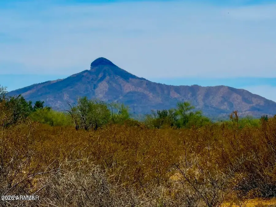 1645 S Ortega Road, Maricopa, AZ 85139 - #2