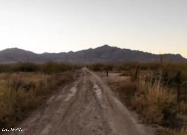 3215 S Carol J Drive, San Simon, AZ 85632 - #1