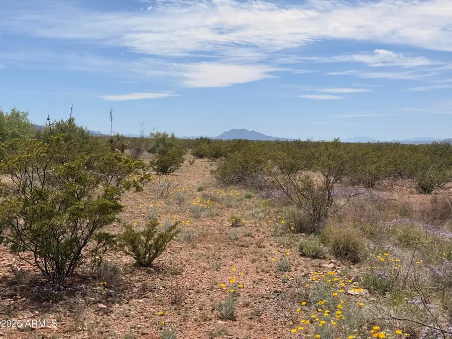 Lot 3940 N Valladolid Drive #3940, Douglas, AZ 85607 - #2