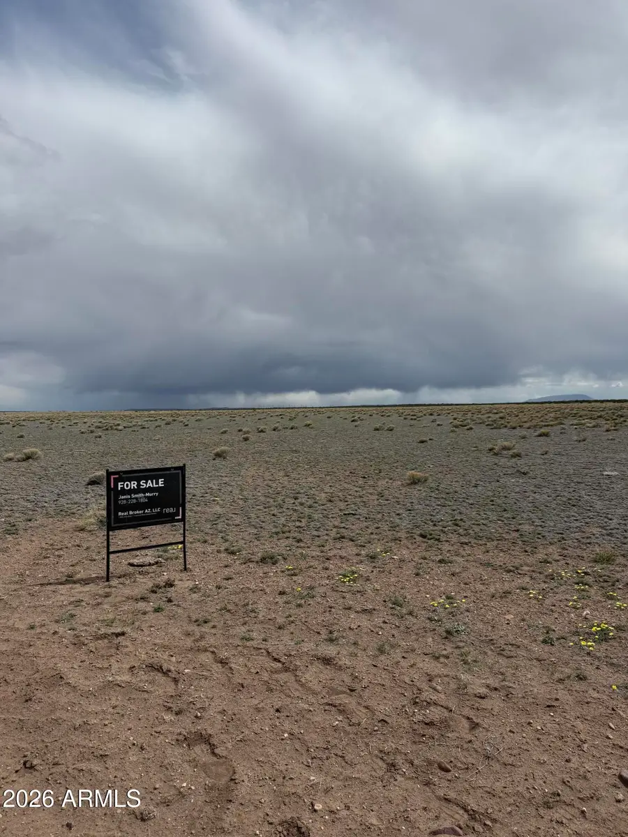 TBD N6465 -- #101, Saint Johns, AZ 85936 - #2