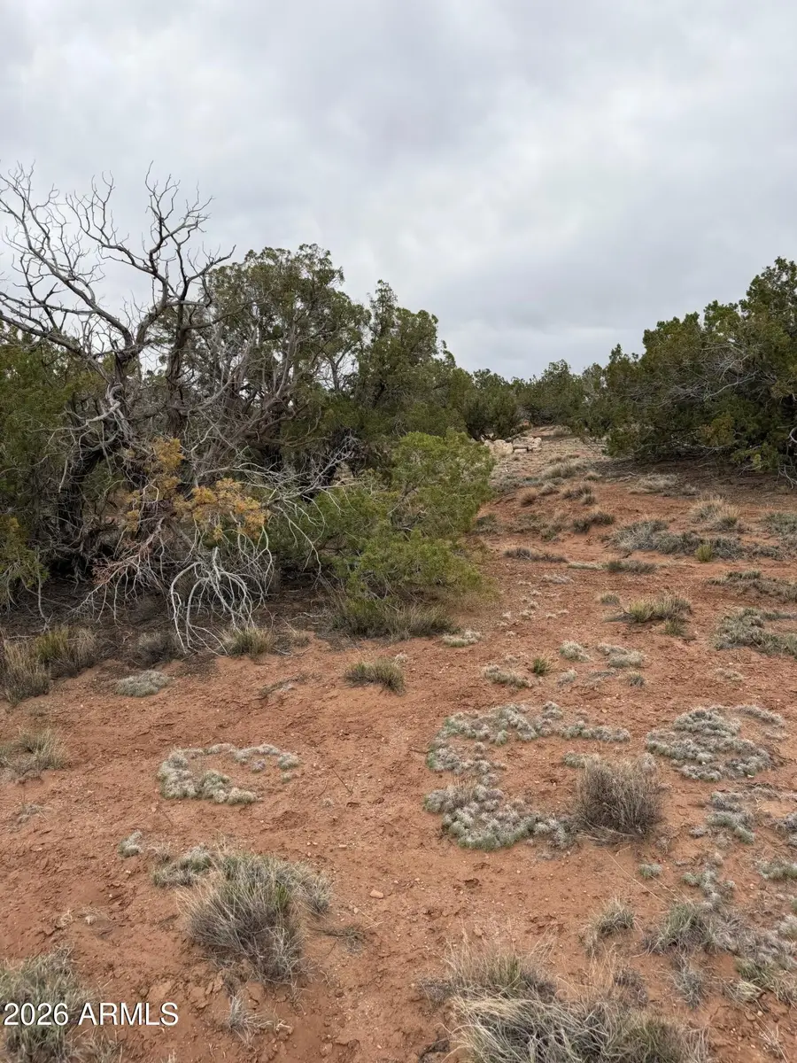 N6124 N N6124 -- #20245008, Saint Johns, AZ 85936 - #2