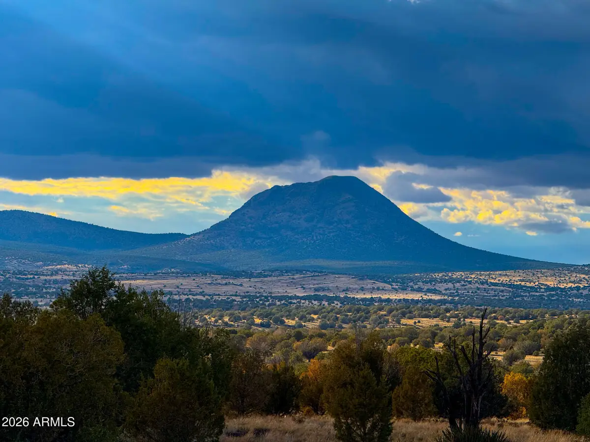 0 W Big Moon Ln Lot C (10 Acres) -- #14, Ash Fork, AZ 86320 - #1