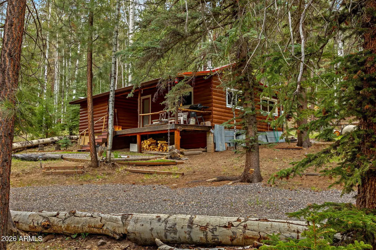 8 County Road 1006 --, Greer, AZ 85927 - #1