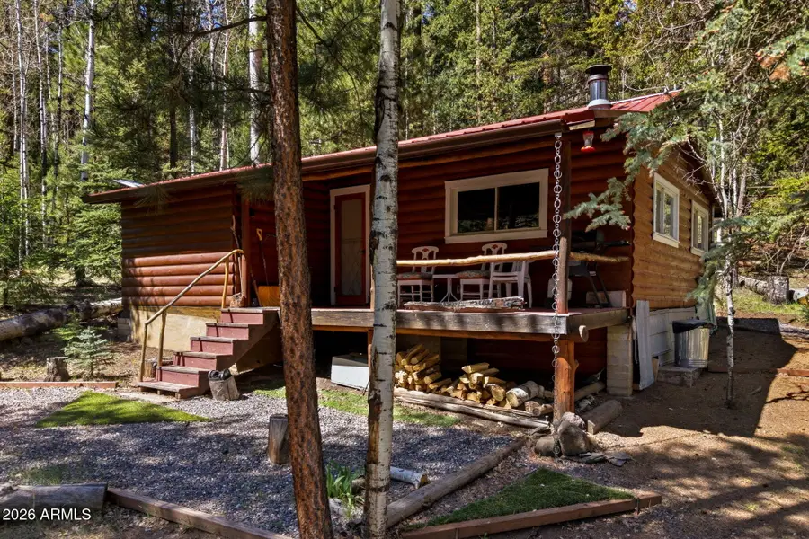 8 County Road 1006 --, Greer, AZ 85927 - #3