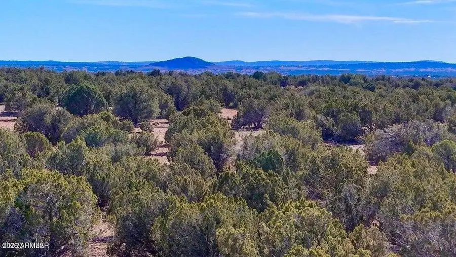 9023 Appaloosa Trl Lot C, 10 Acres --, Show Low, AZ 85901 - #3