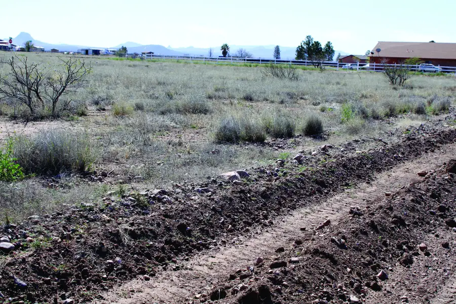 1.38 Acres N San Louis Rey Drive #305, Douglas, AZ 85607 - #2