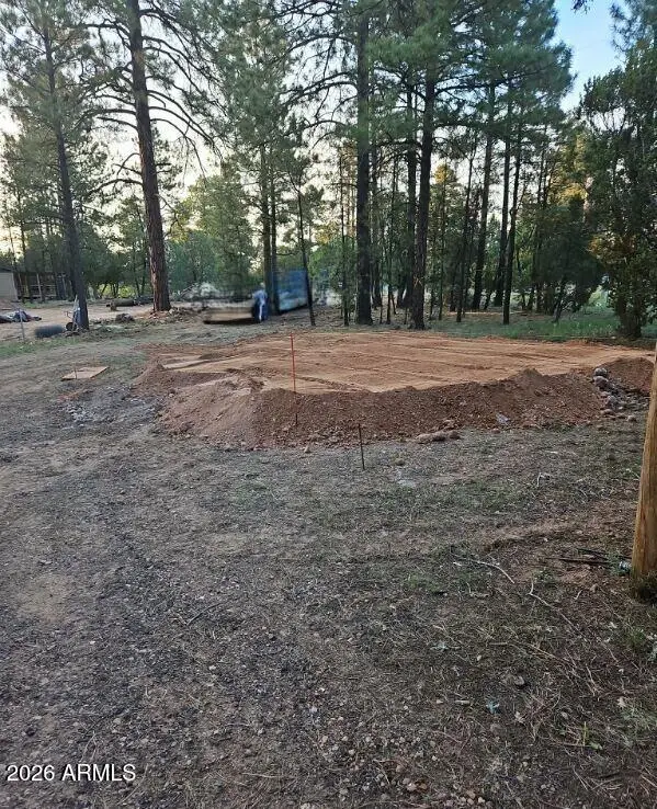 2890 Pine Rim Road, Overgaard, AZ 85933