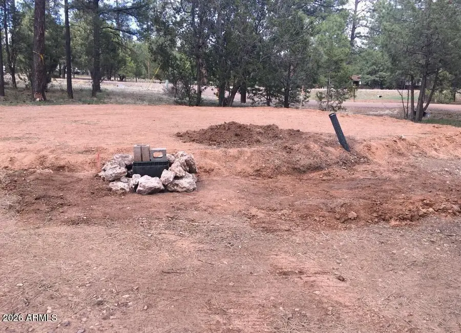 2890 Pine Rim Road, Overgaard, AZ 85933 - #3