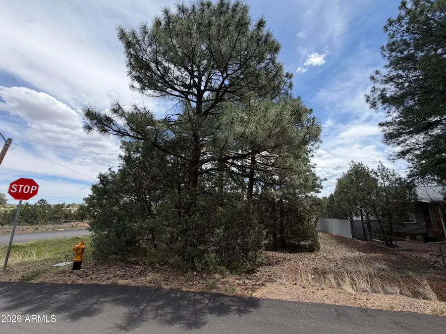 261 S 1st Drive #4, Show Low, AZ 85901 - #3