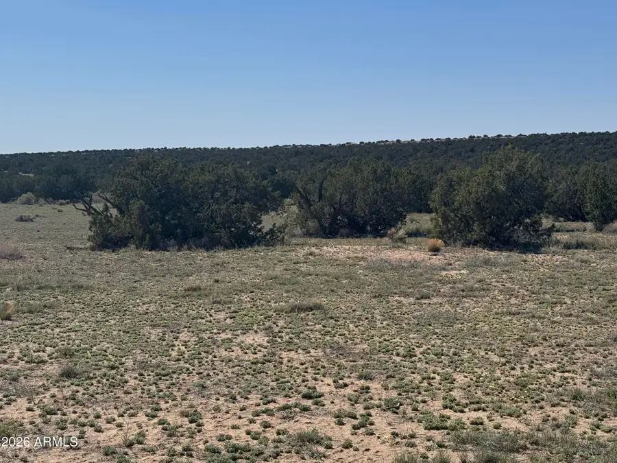 Lot 531 Woodland Valley Ranch -- #531, Saint Johns, AZ 85936 - #3