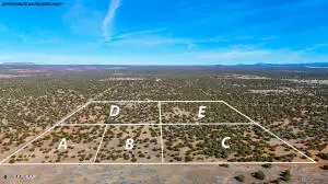 9023 Appaloosa Trl Lot D , 10 Acres --, Show Low, AZ 85901 - #2