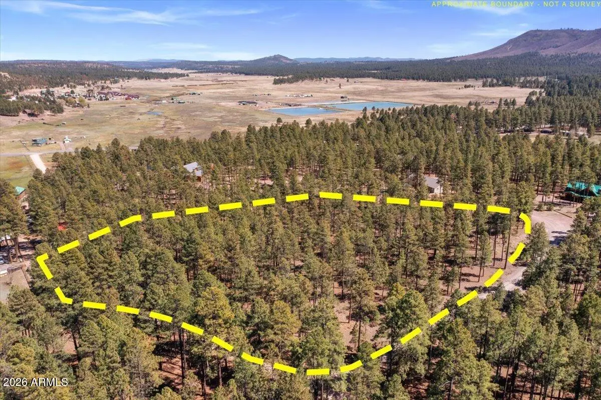 TBD County Rd 2325 --, Alpine, AZ 85920 - #1