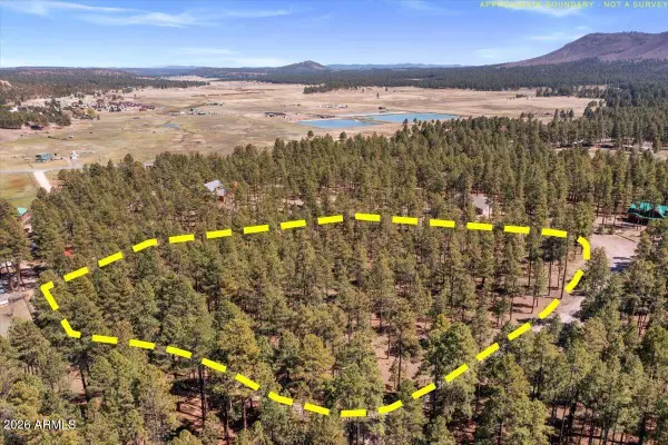 TBD County Rd 2325 --, Alpine, AZ 85920