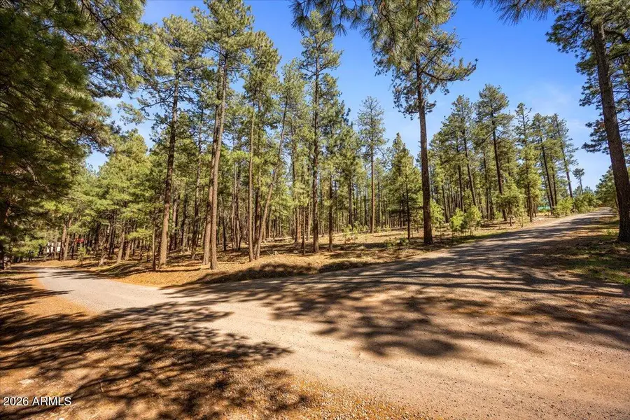 TBD County Rd 2325 --, Alpine, AZ 85920 - #3
