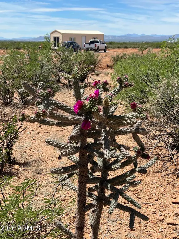 7691 N Calle Del Prado Street #287, Douglas, AZ 85607