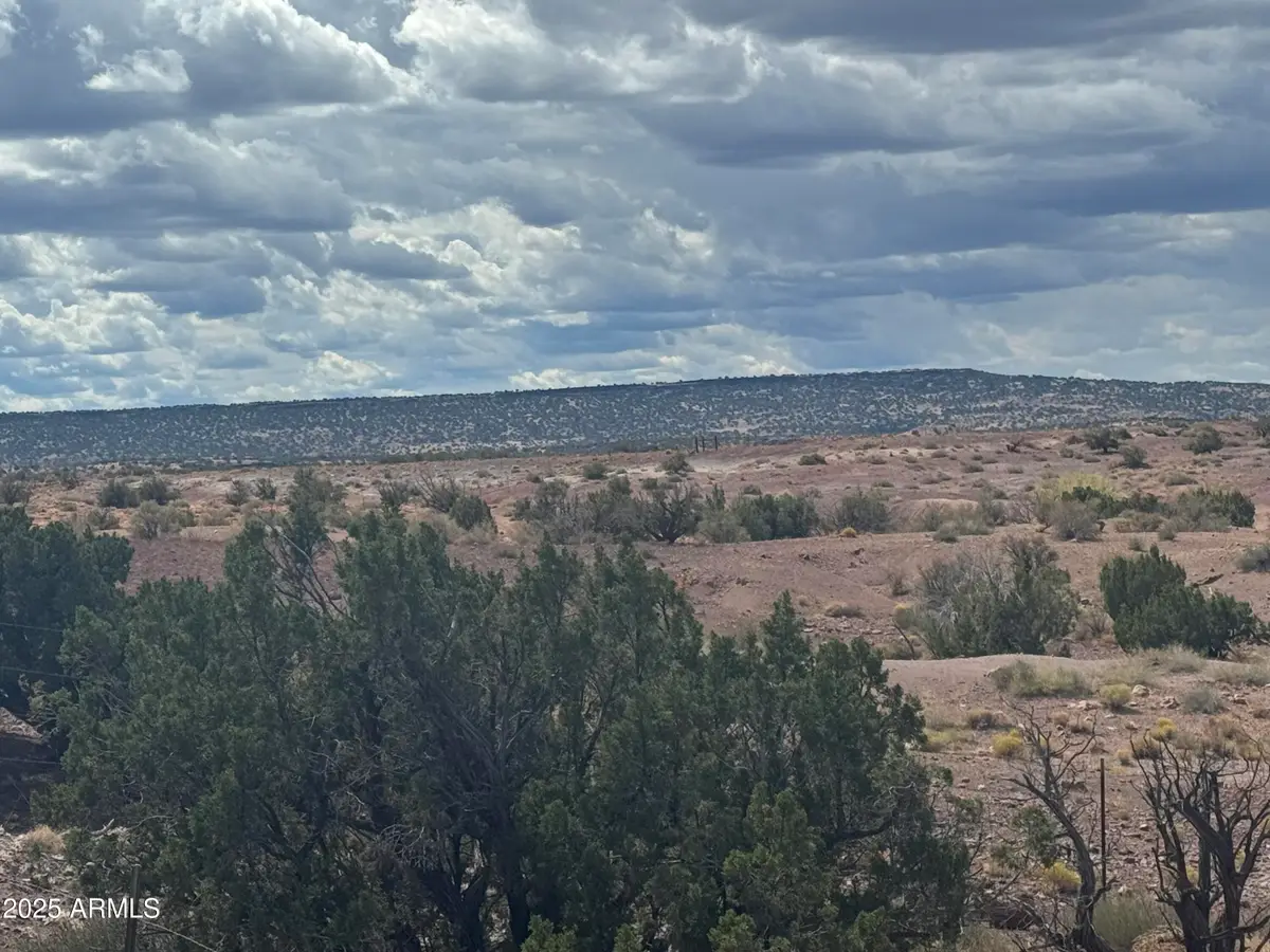 #59 River Springs Ranch -- #59, Saint Johns, AZ 85936 - #1