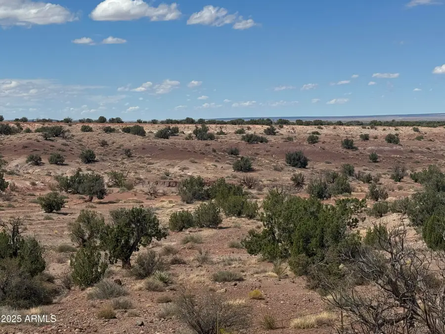 #59 River Springs Ranch -- #59, Saint Johns, AZ 85936 - #2