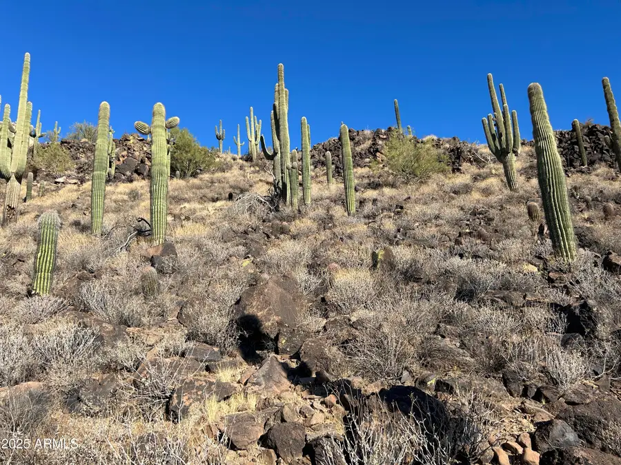 27xx W Maddock Road, Phoenix, AZ 85086 - #2