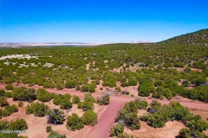 15 Co Rd 3037 1.14 Acres --, Vernon, AZ 85940 - #2