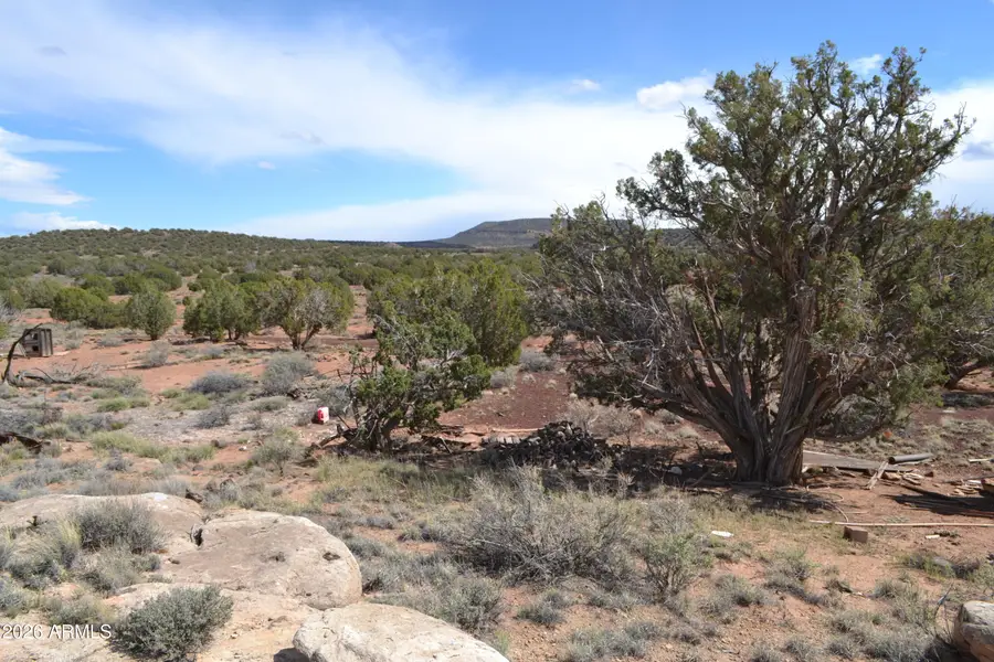 32 N8544 -- #398, Concho, AZ 85924 - #3