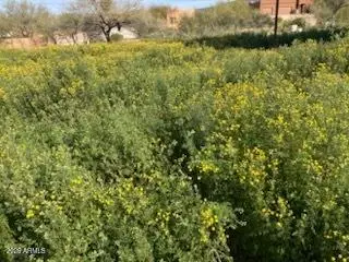 45427 N 14th Street #A, New River, AZ 85087 - #1