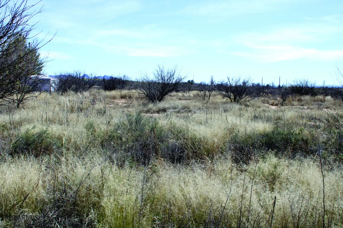 5.52 Acres E Chaco Lane, Hereford, AZ 85615 - #1