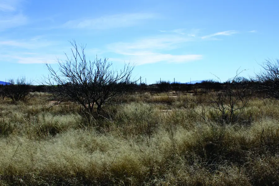 5.52 Acres E Chaco Lane, Hereford, AZ 85615 - #2