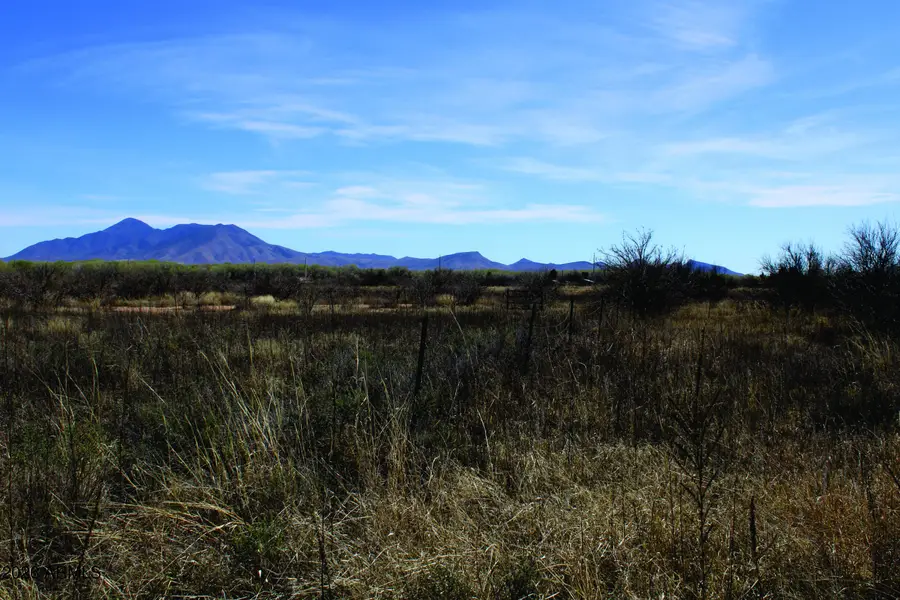 5.52 Acres E Chaco Lane, Hereford, AZ 85615 - #3